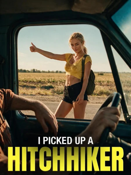 I Picked Up a Hitchhiker cover art